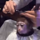 0xAstralEX