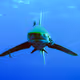 DiveJedi
