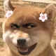 Pandaking848