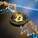 BitcoinSlim