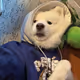 rtujytj77