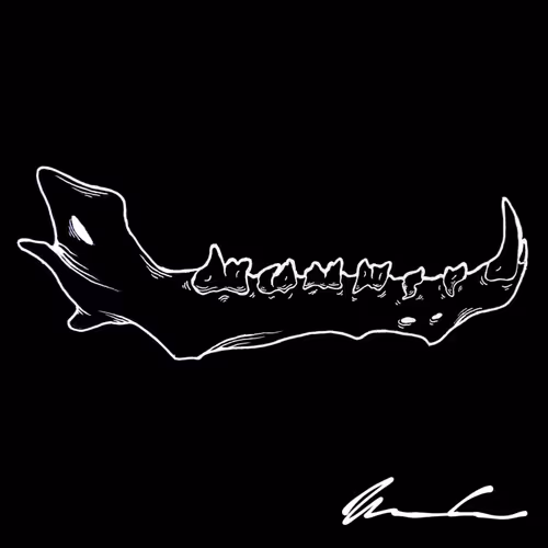 OpenSea profile picture for @Decomposed