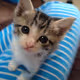 NYANKOKO