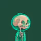 tdgffssfdgar