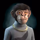 Gorilla_Ness