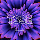 NFTTSSE