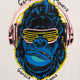 gorillamykola