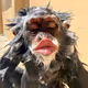 BabyHarambe