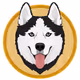Husky_Inu