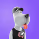 YoungSeagullV2