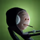 fl0ssy