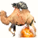 camelcat