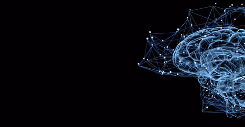 OpenSea banner for @METE