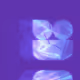 mvlo