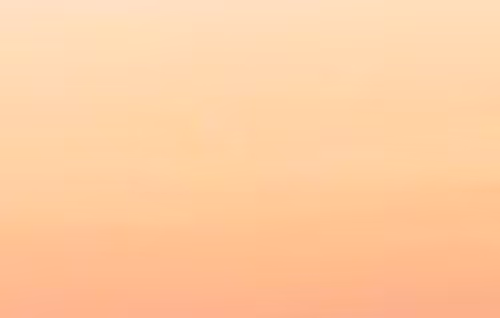 OpenSea banner for @mayor