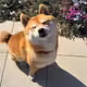 0x786b2ed1bd51be759f9f06682a7bdef4631d853f