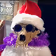 Ice_Jordan