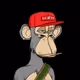 lamer007
