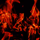 FireandMetalandBlood