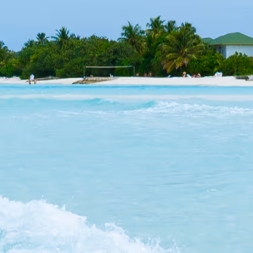 OpenSea banner for @okbuddy