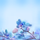 0x78c720f2a80bd9129d77b3ca0b190f0daa6d1ce3