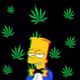 bhfsv5e