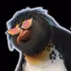 Zeeek