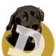 Altdoges
