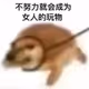 fdsfsdfiodsio8989