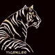 TigerLee_