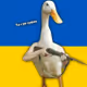 NoTrespassers