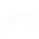 AselonNFT