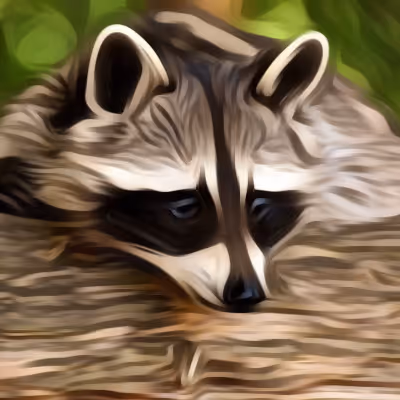 OpenSea profile picture for @Lib