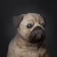 EpicPugs