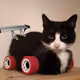 RocketCat
