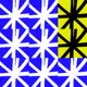 PolyVault_X