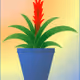 Plants_Aquatics