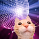 PartyCat