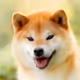rfuyyiu