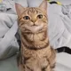 MNRB