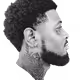 whoisdwright