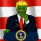 Donald-Turtle