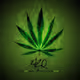 Icy420