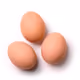 A_Regular_Egg