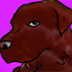 Jesse_Lee