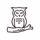 nightowl404