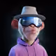 Sprace_NFT