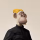 PlimeApple