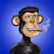 CeoWill