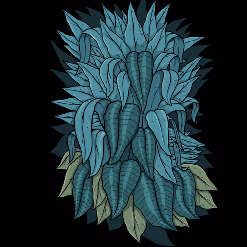 OpenSea profile picture for @senhor